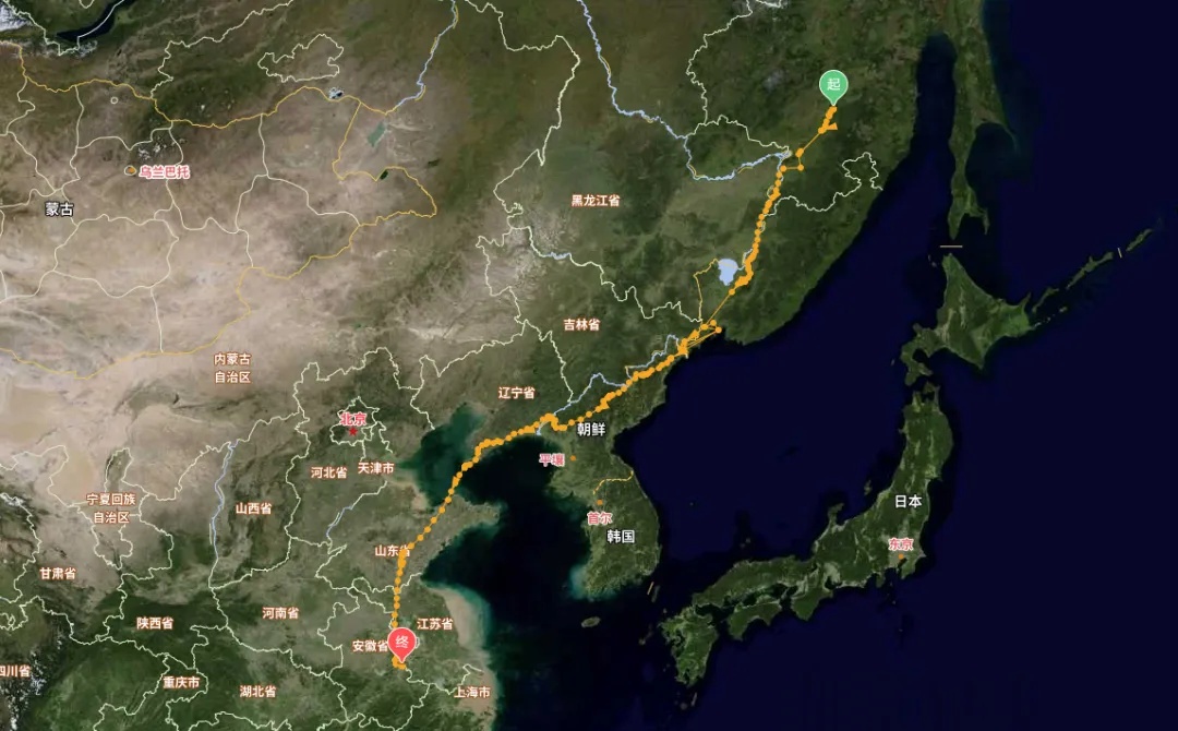 红山动物园官宣：黑鸢5号当爸爸啦！