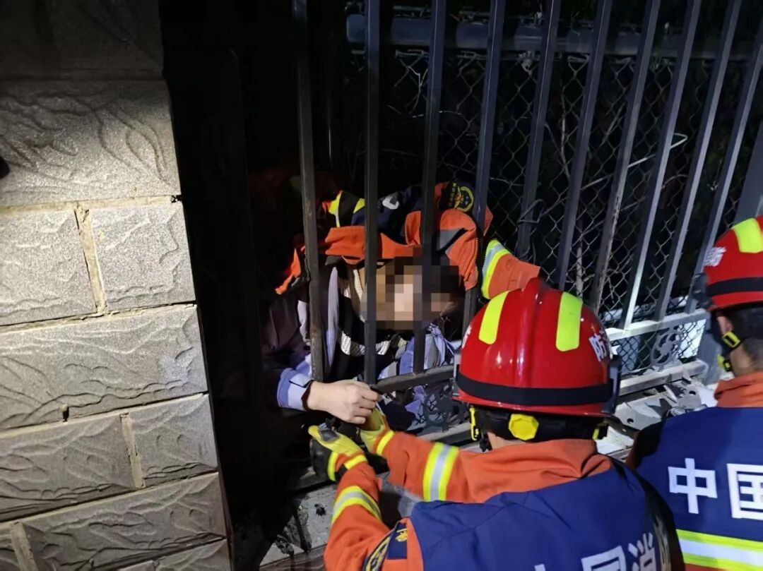 猫主人为救猫不慎被困 消防紧急处置助脱困