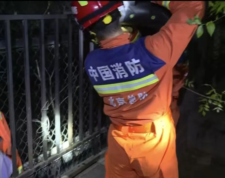 猫主人为救猫不慎被困 消防紧急处置助脱困