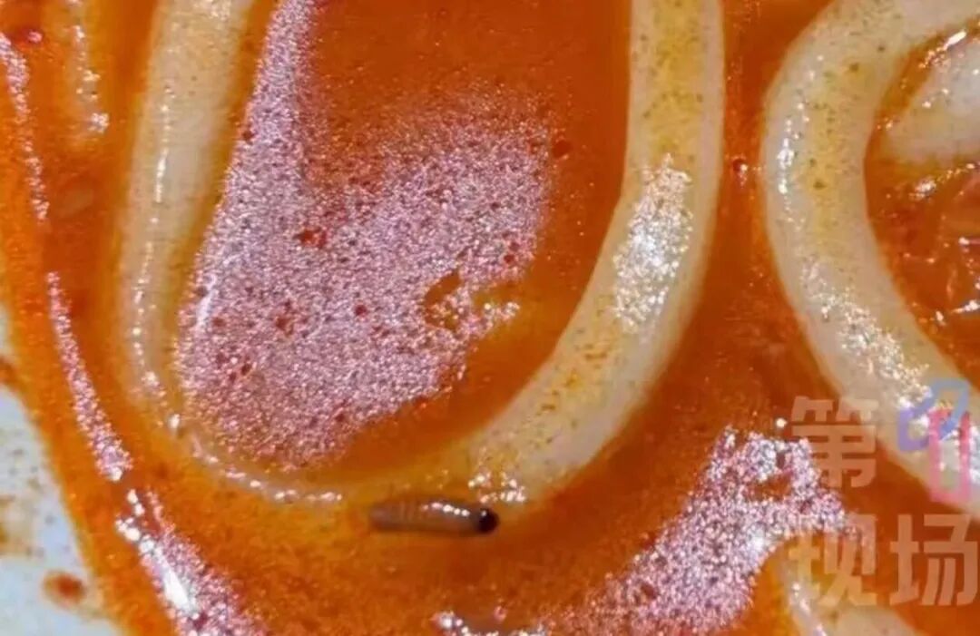 “小孩当场就吐了”，山姆一网红产品被曝吃出蛆虫；工作人员：赔偿1000元