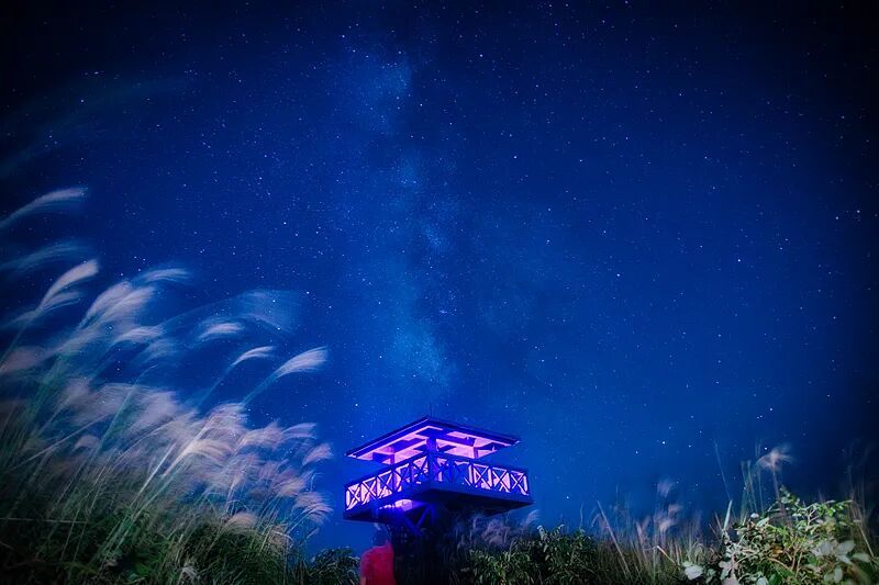 热搜第一！工资高但很孤独的工作，你愿意做吗？