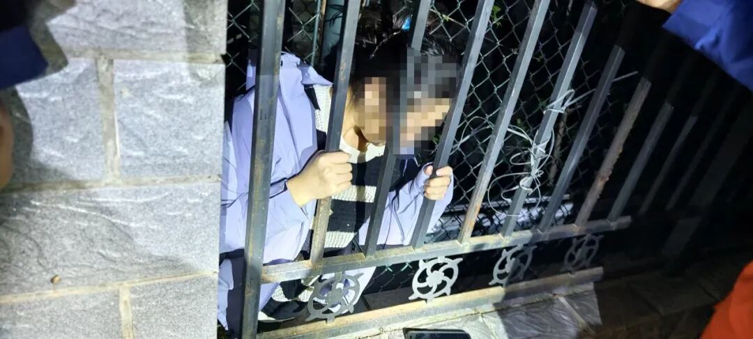 猫主人为救猫不慎被困 消防紧急处置助脱困