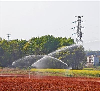 又“酸”又“瘦”的荒坡，这样变沃土（春耕里的新质生产力）