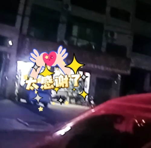 漆黑乡道，车灯突然“罢工”...无助之际，她遇到了“爱管闲事”的他们