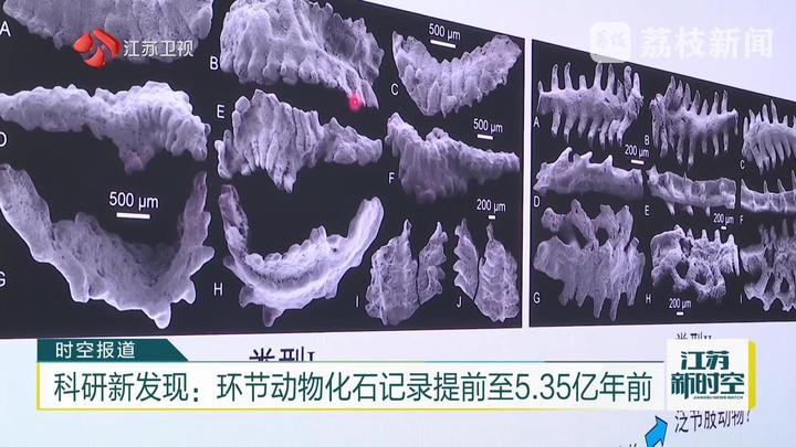 科研新发现：环节动物化石记录提前至5.35亿年前