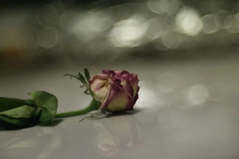 热搜第一！工资高但很孤独的工作，你愿意做吗？