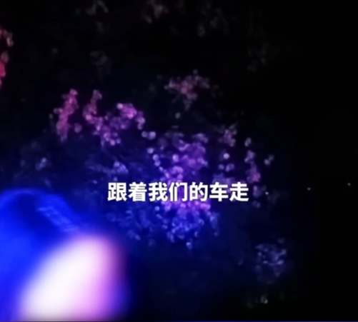 漆黑乡道，车灯突然“罢工”...无助之际，她遇到了“爱管闲事”的他们