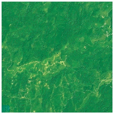 从三组卫星遥感图看生态保护成效