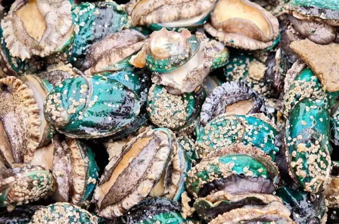 抓紧吃！5月1日起，福州开始休渔！