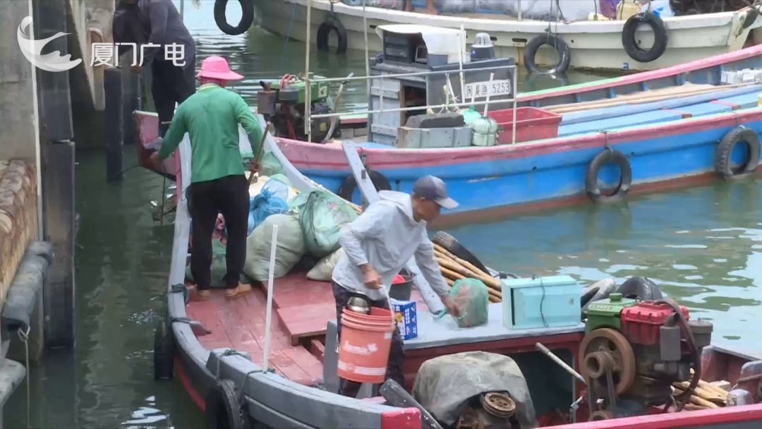 5月1日起！厦门全面禁止！正式进入伏季休渔期