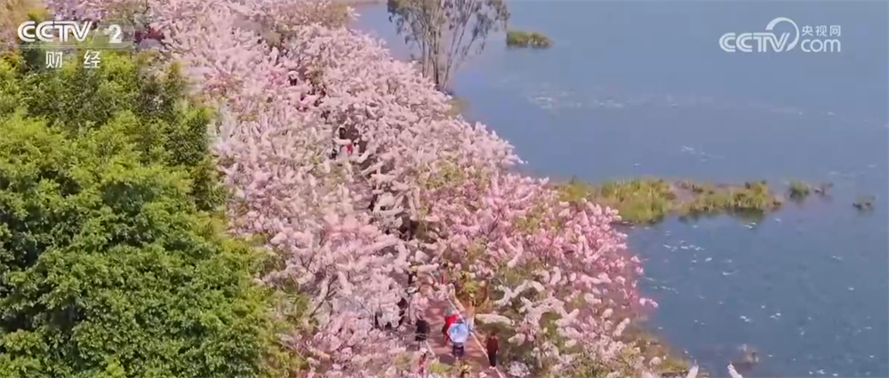 多地“花式”解锁“花样经济”促增收 “农文旅体”融合涌动消费暖流