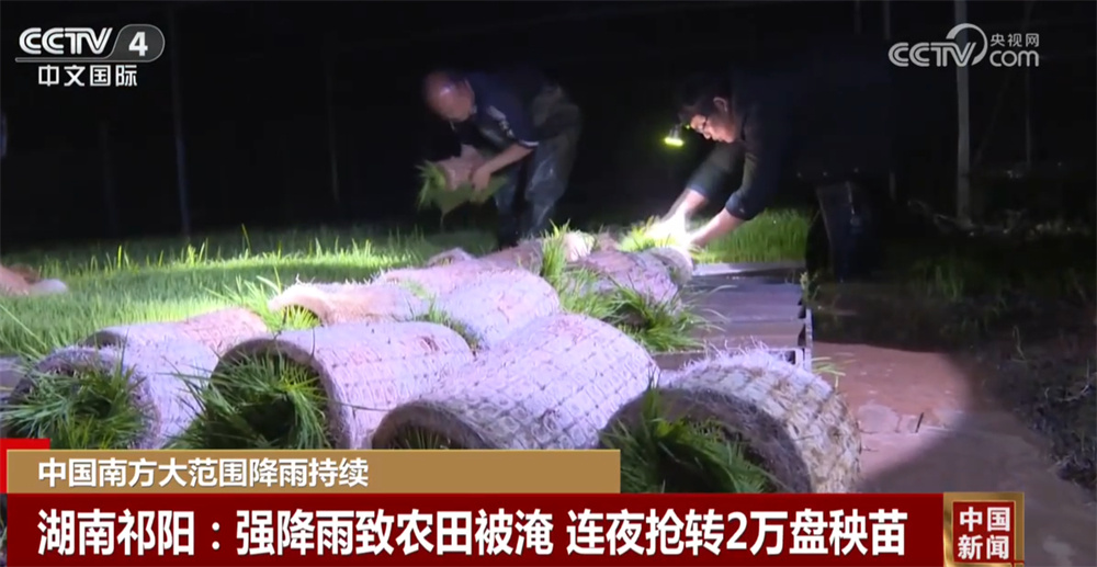 多方力量“以雨为令”全力保民生保安全 科学有序开展抢险救援救灾