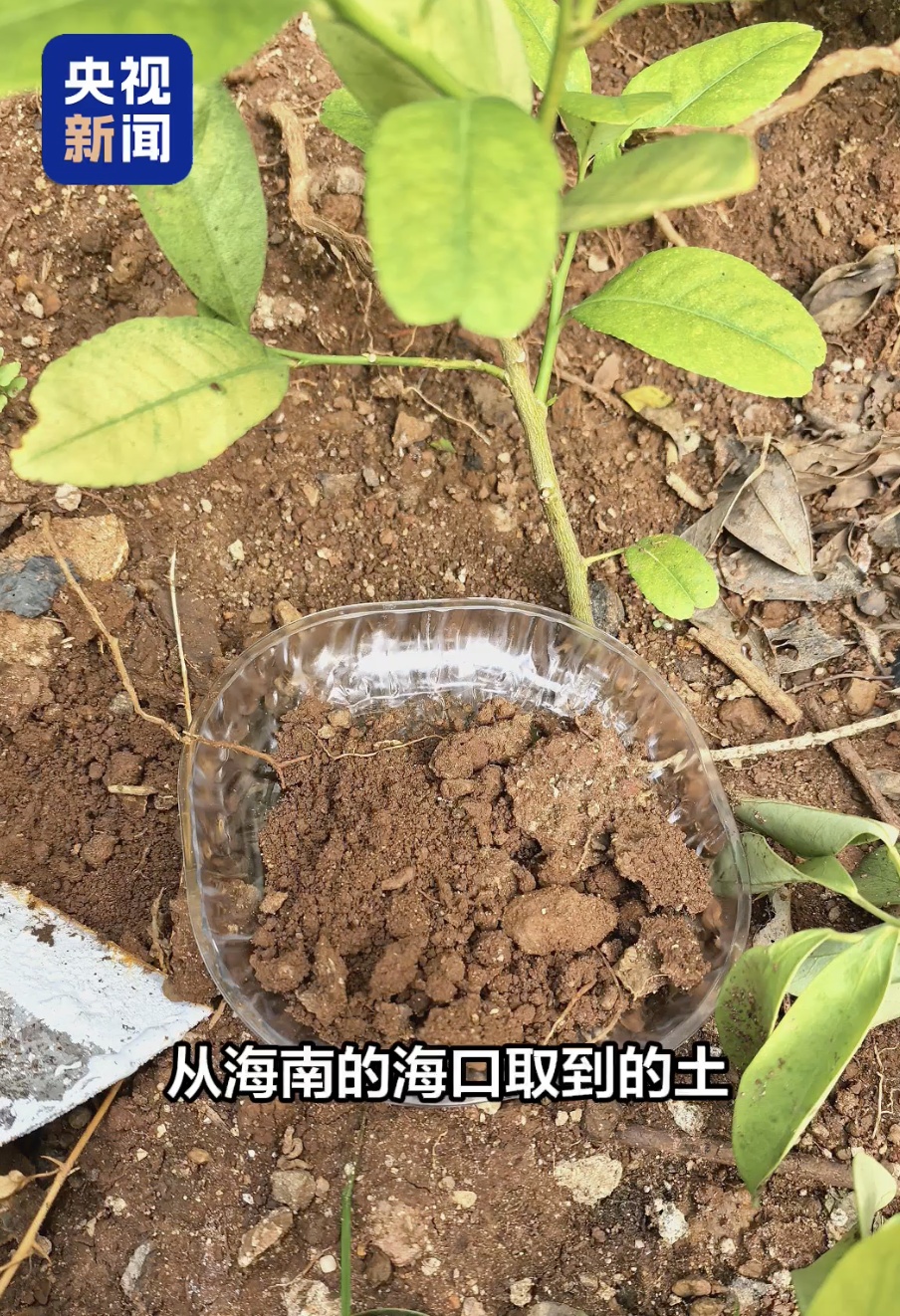 抗美援朝烈士碑前，为何放着五捧泥土？