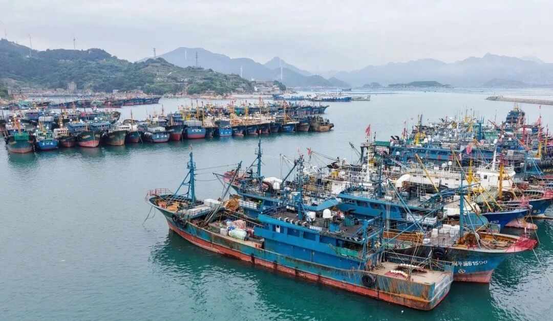 抓紧吃！5月1日起，福州开始休渔！