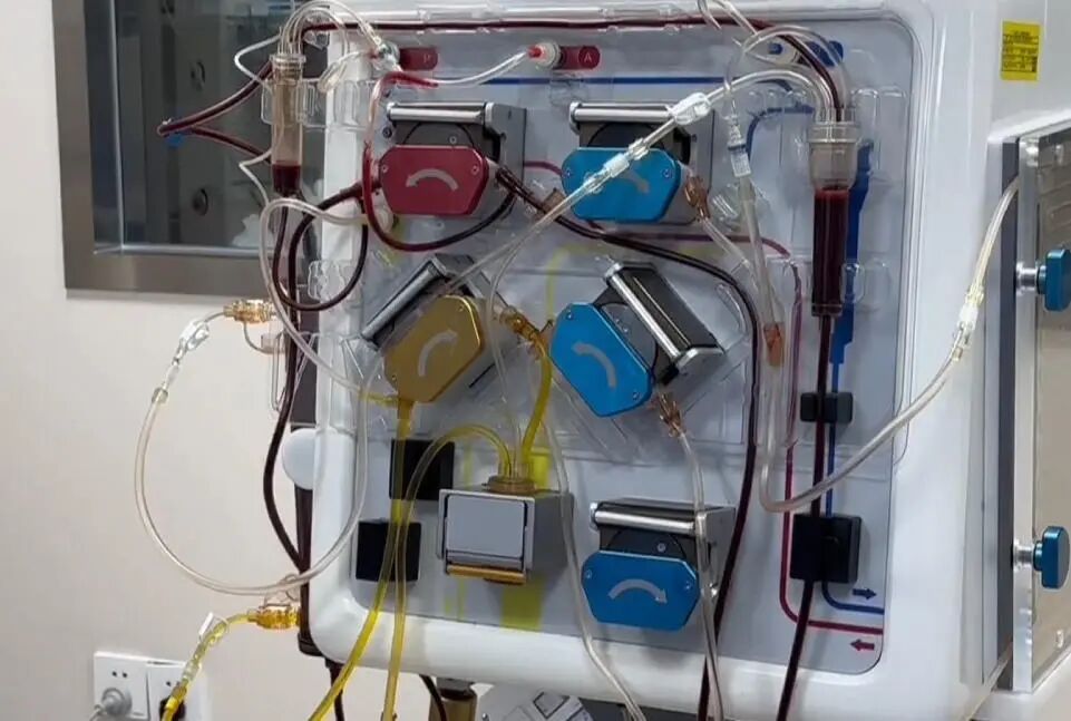 惠州一家人因误食野生毒蘑菇集体中毒