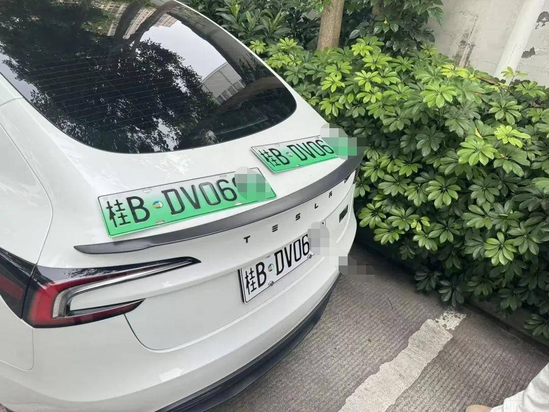 紧跟“潮流”？网上找商家把新能源车牌褪色变“白”，一车主被罚款200元记9分