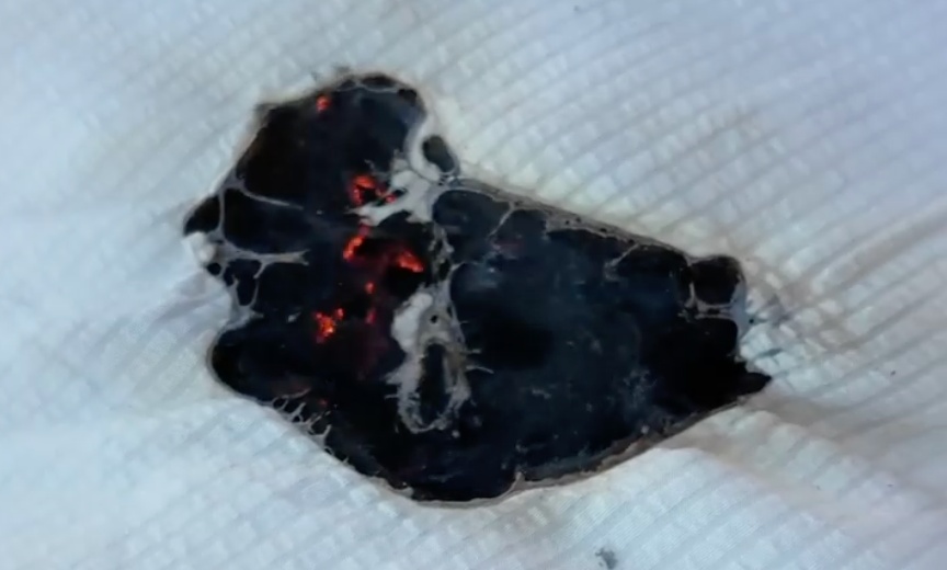 发现楼上邻居这样做，请立刻报警！