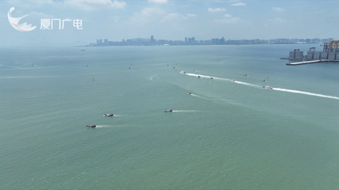 5月1日起！厦门全面禁止！正式进入伏季休渔期