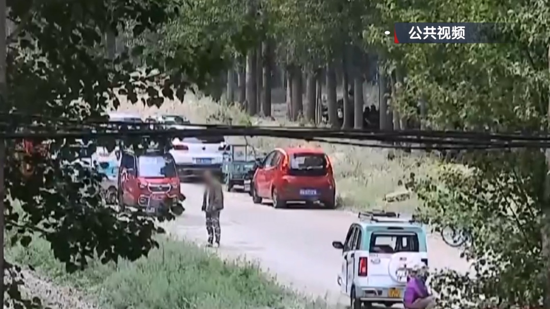 杨柳絮飘飞 警惕“白色”火患！