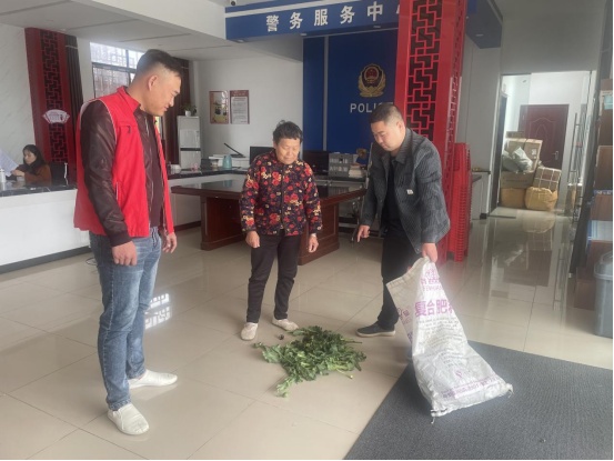 村民“慧眼”识罂粟，果断上交！