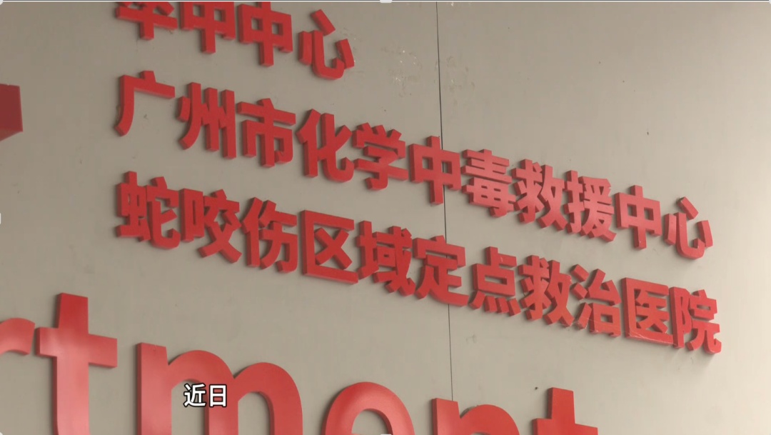 50克即可致人死亡！ &nbsp;广州一医院救治多名“白毒伞”中毒重症患者