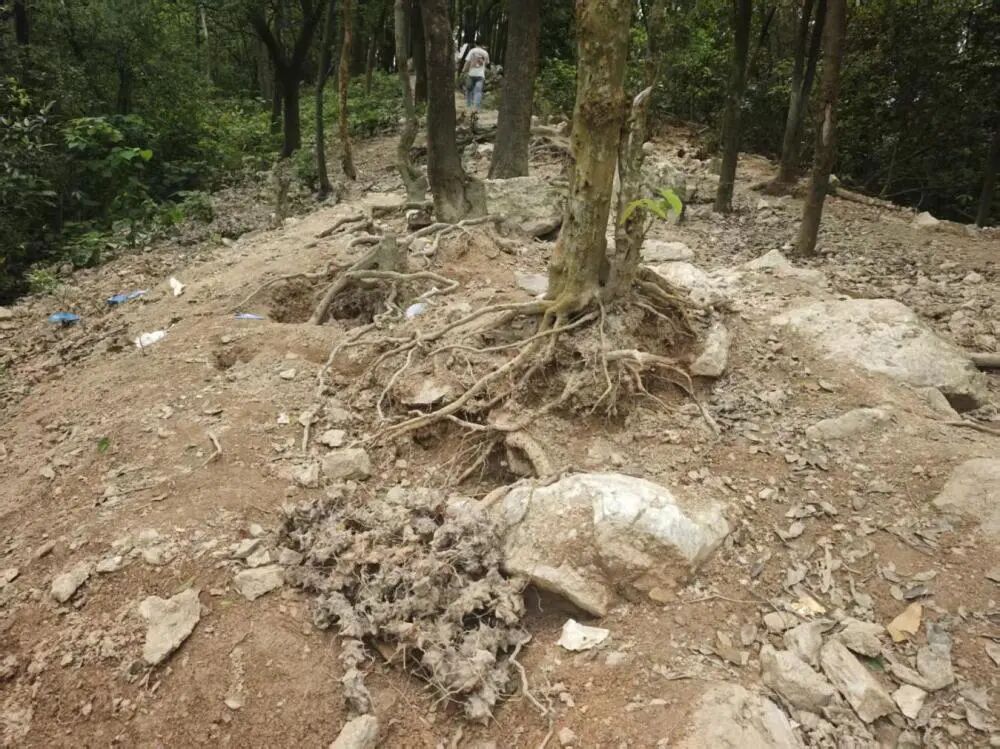 “今天又疯狂出货了，掏到了水晶窝！”