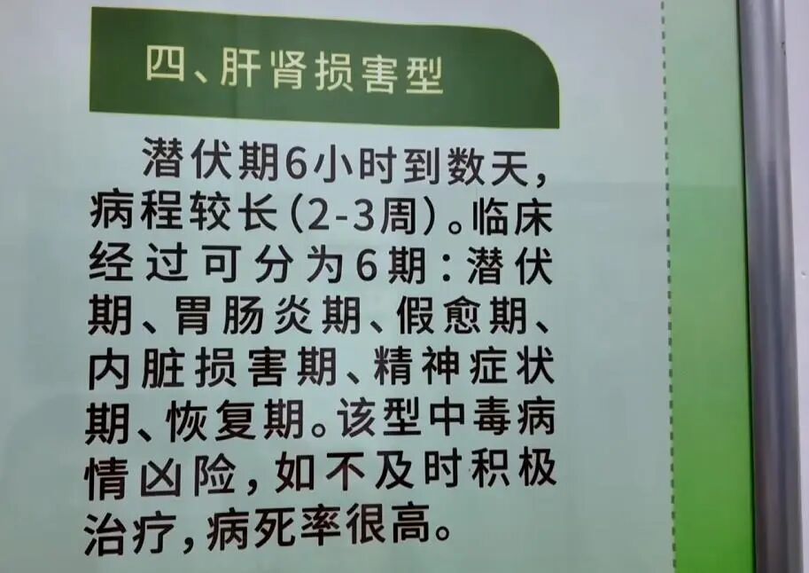 惠州一家人因误食野生毒蘑菇集体中毒