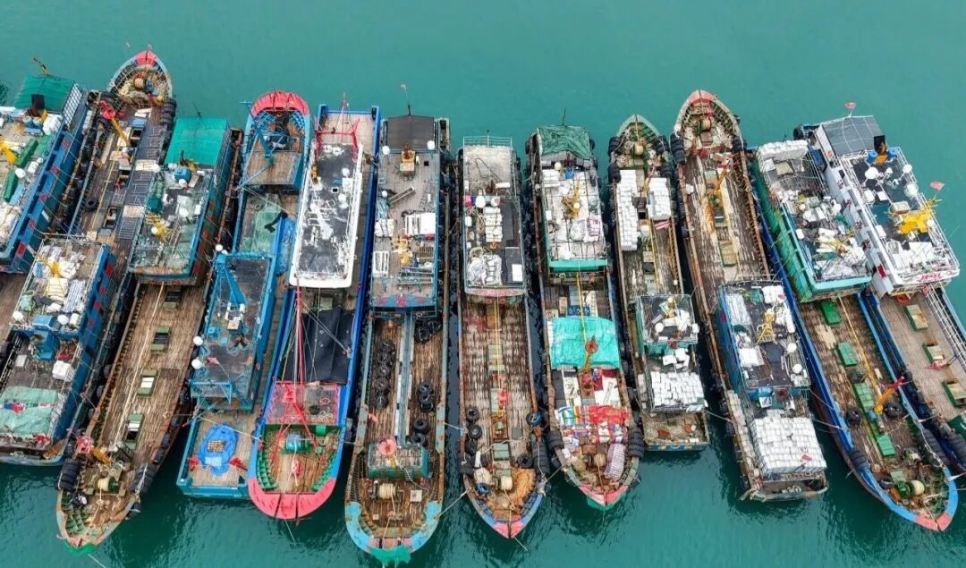 抓紧吃！5月1日起，福州开始休渔！