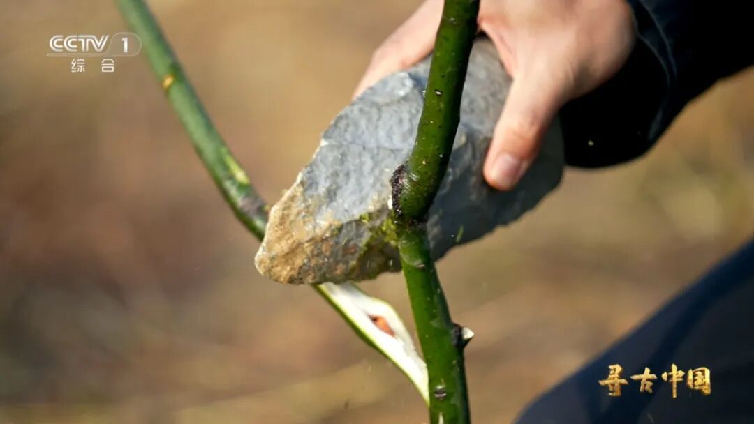 手斧手镐薄刃斧……四川皮洛遗址出现远古人类“生存工具箱”