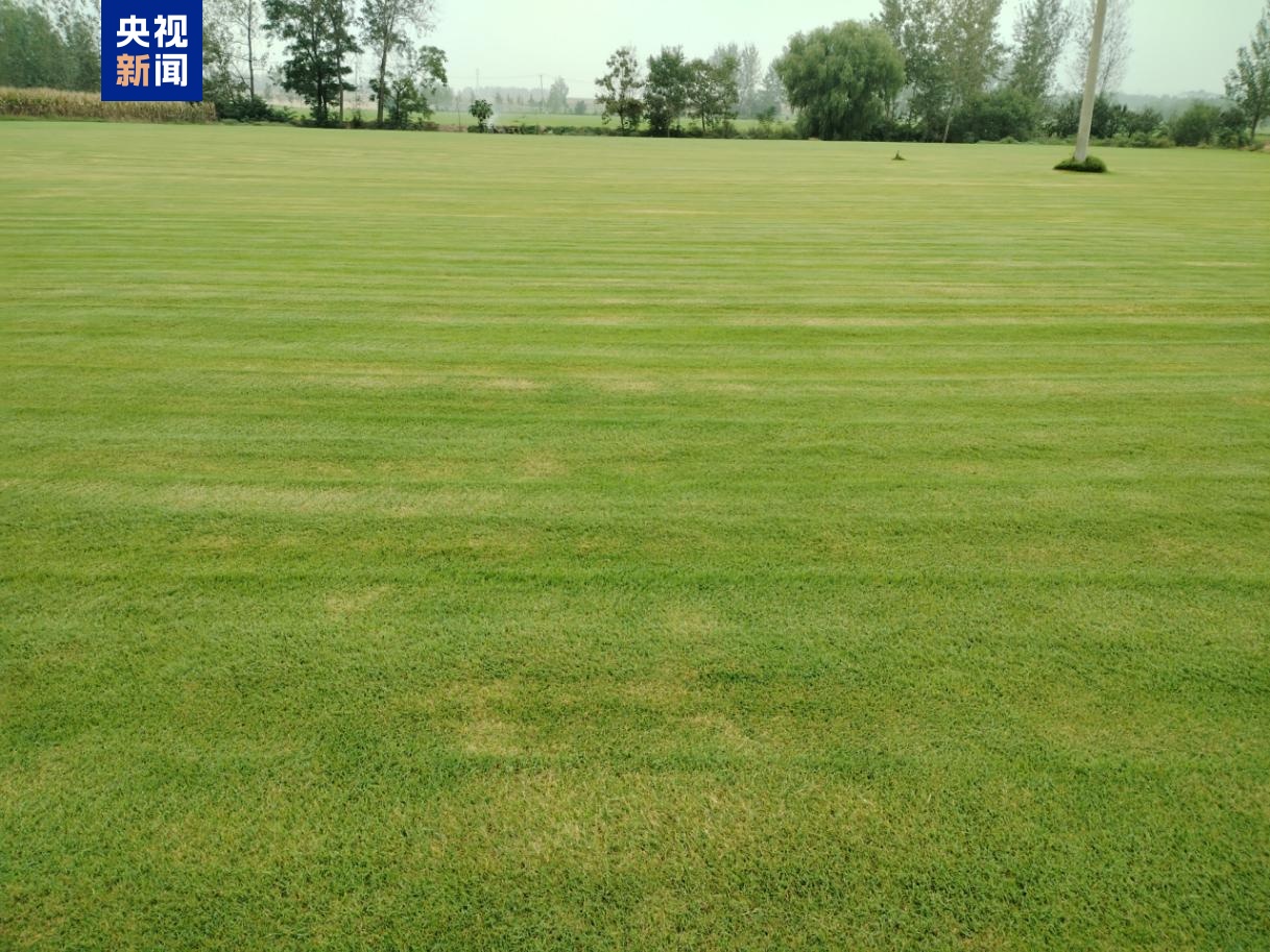 涉破坏耕地、非法开采等 两部门通报违法违规典型问题