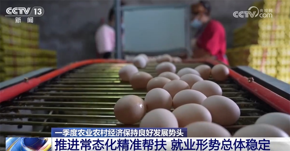 一季度农业农村经济向稳向好迎来“开门红” 乡村全面振兴再提速
