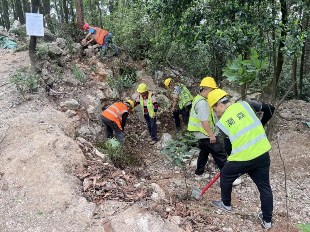广州黄埔：暹岗大山被采挖坑洞全部回填复绿，游客挖出的石头并非水晶矿