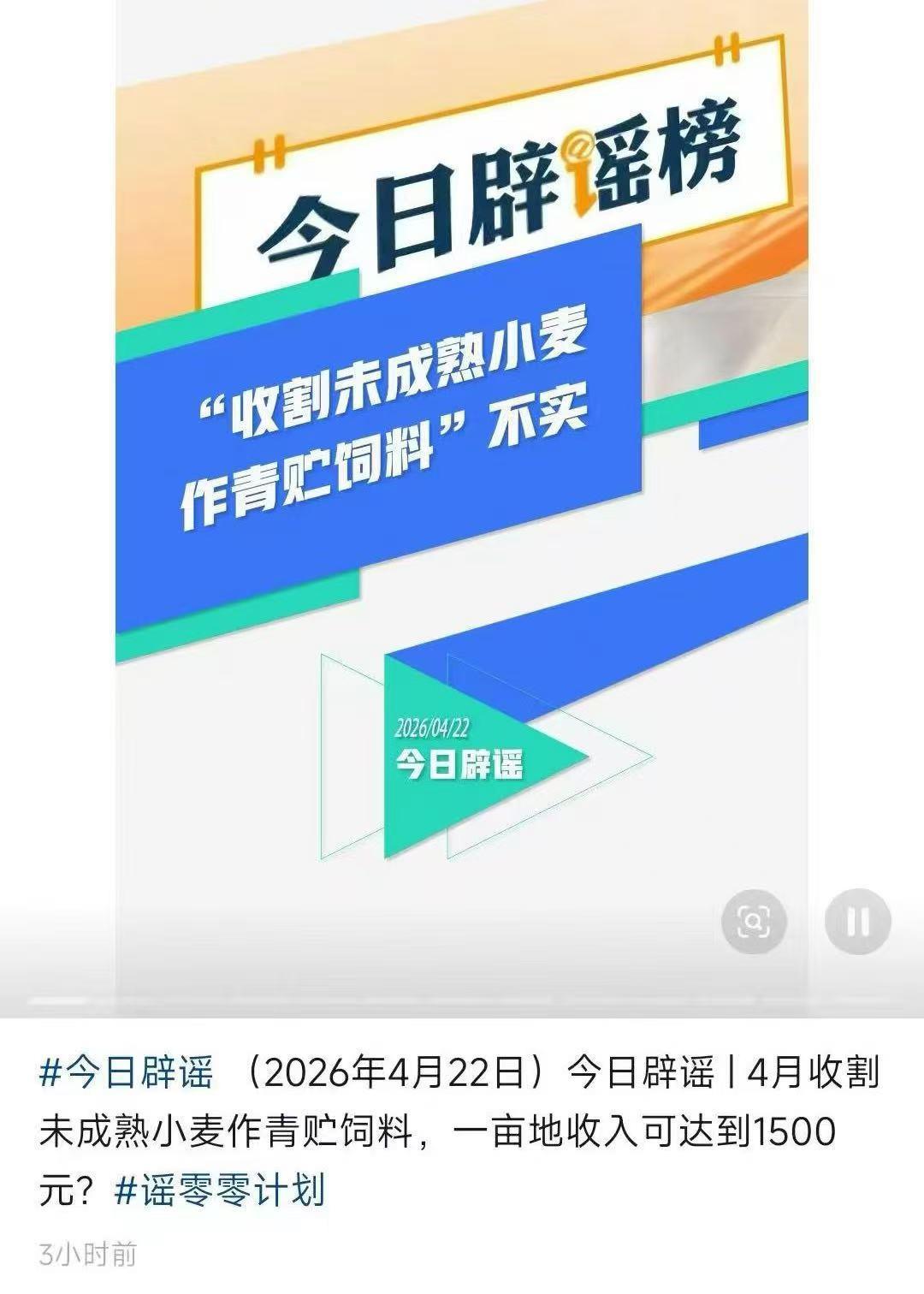 一亩青小麦能卖1500元是谣言！背后是怎样的流量账？记者调查