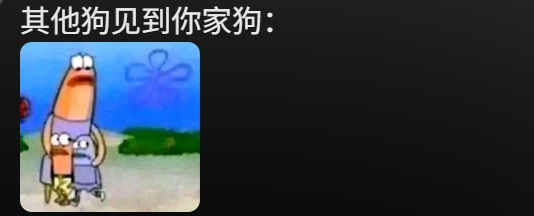 狗狗被拘10天“刑满释放”！主人用柳叶条给它去晦气，网友：从此有案底了……