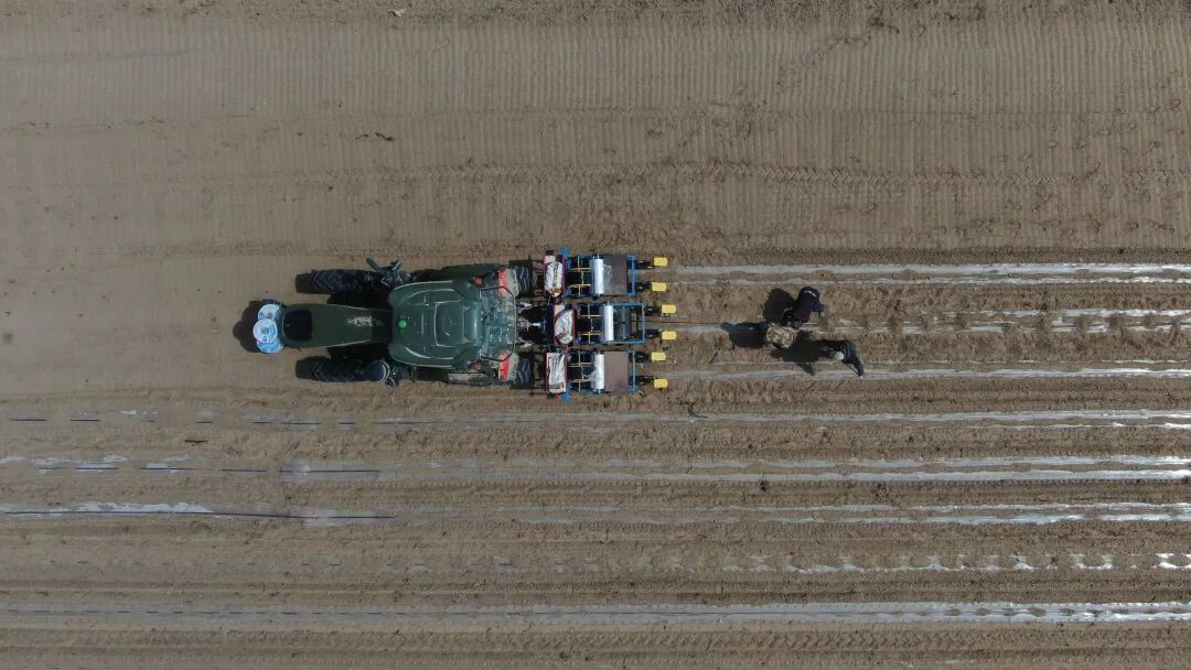 甘肃景泰：35万亩玉米播种工作全面铺开