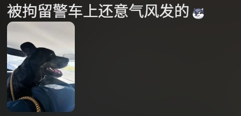 狗狗被拘10天“刑满释放”！主人用柳叶条给它去晦气，网友：从此有案底了……