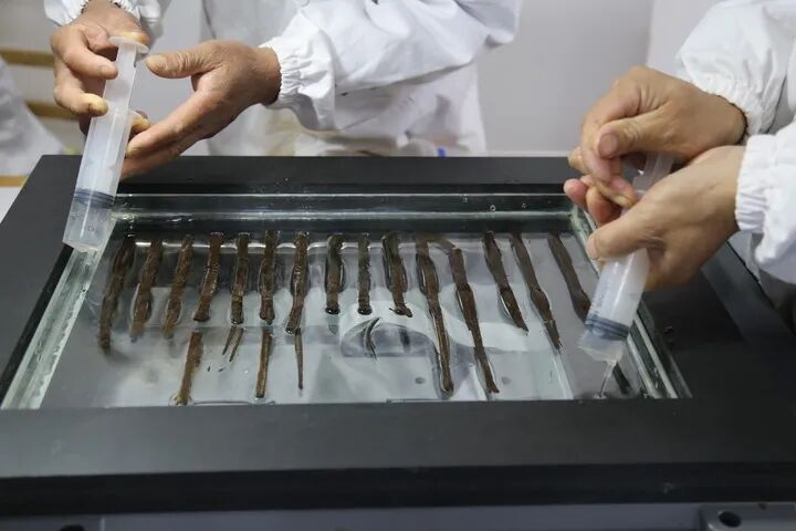 海昏侯玩的是什么桌游？