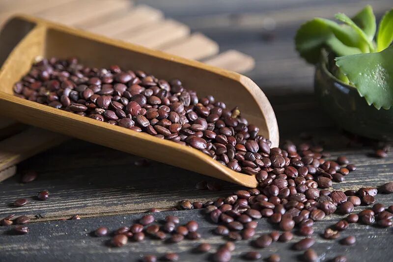 失眠多梦、半夜总醒？试试用它煮水喝！附不同体质搭配方法→