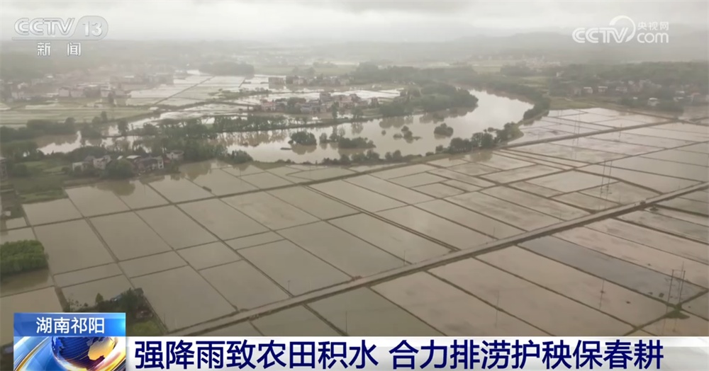 排水排涝、洗苗扶苗、追肥补苗……湖南祁阳以“迅”应“汛”合力保春耕