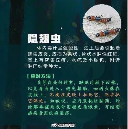 强降水+强对流！广东暴雨要来了！广州晚高峰小心雨水“突袭”