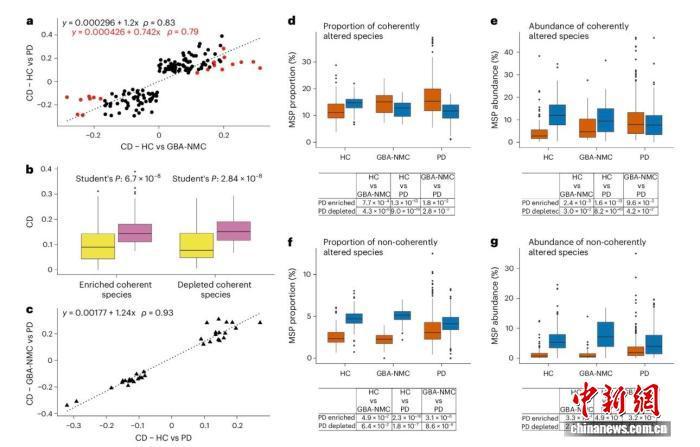 最新健康研究：肠道微生物组变化或预示帕金森病进展
