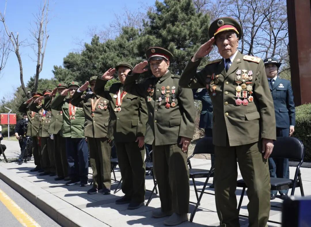 春风里，英烈荣归——第十三批在韩志愿军烈士遗骸归国侧记