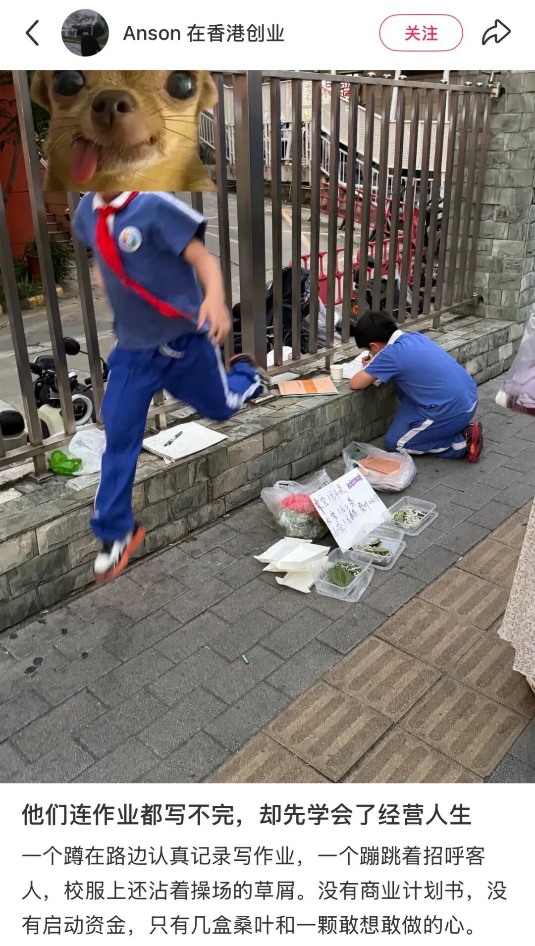 深圳小学生边写作业边摆摊刷屏！不少家长晒出同款“搞钱故事”：从小就有商业头脑