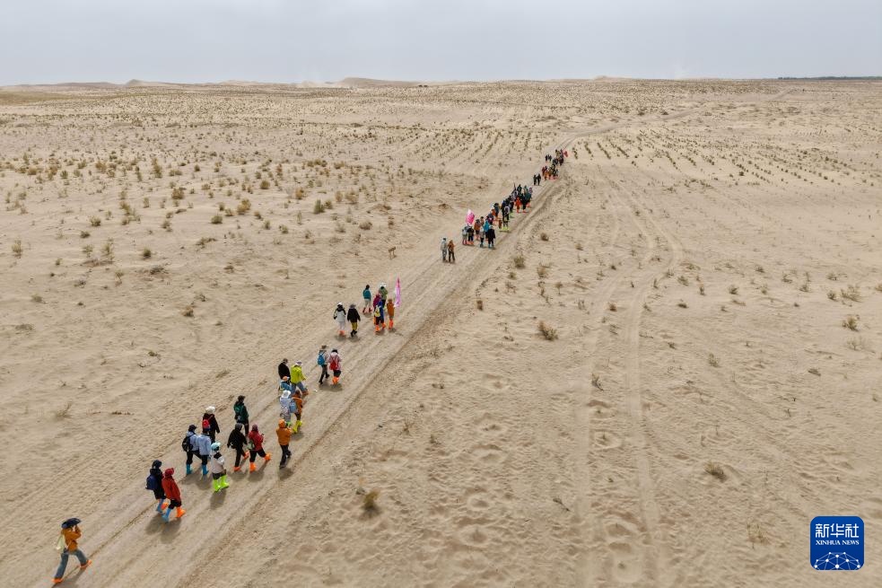 跨越山海种树护绿