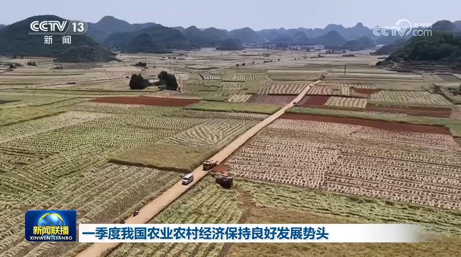 一季度我国农业农村经济保持良好发展势头