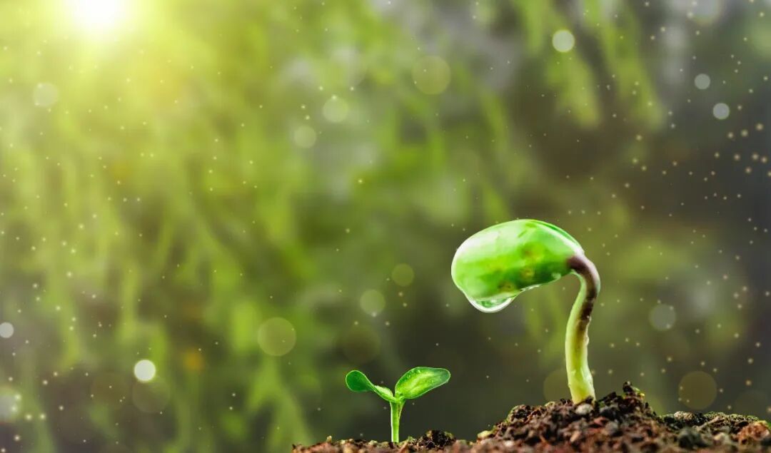 6级阵风来袭，明后天山区有雨！五一当天北京还有雷雨！