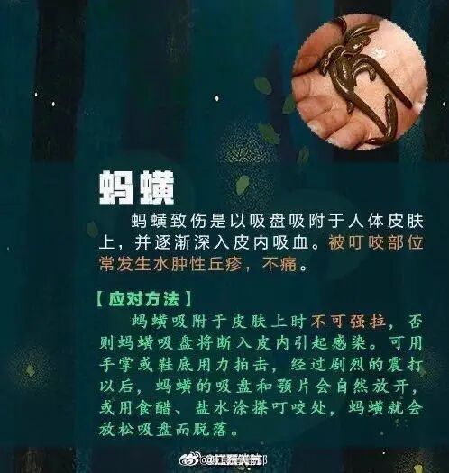 强降水+强对流！广东暴雨要来了！广州晚高峰小心雨水“突袭”