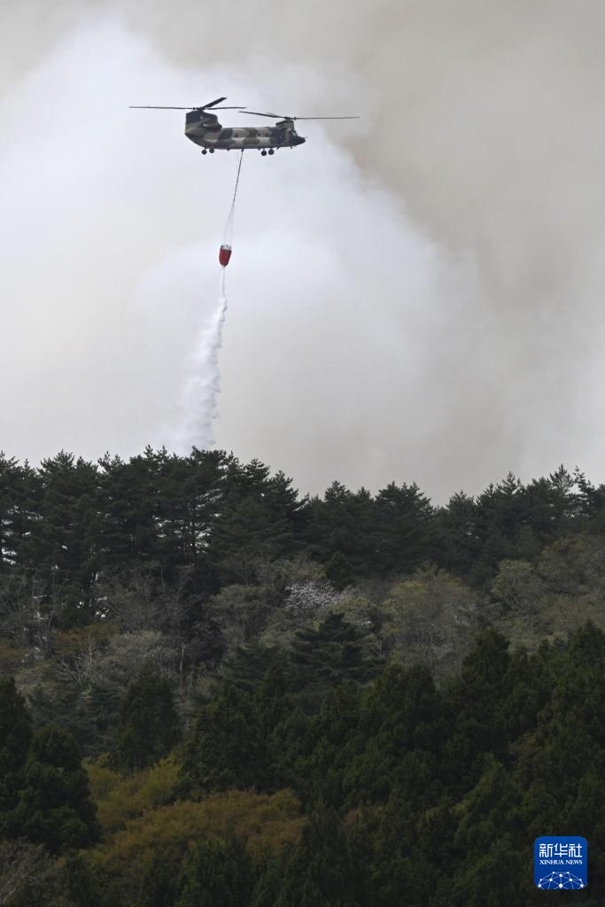 日本岩手县山火过火面积超200公顷