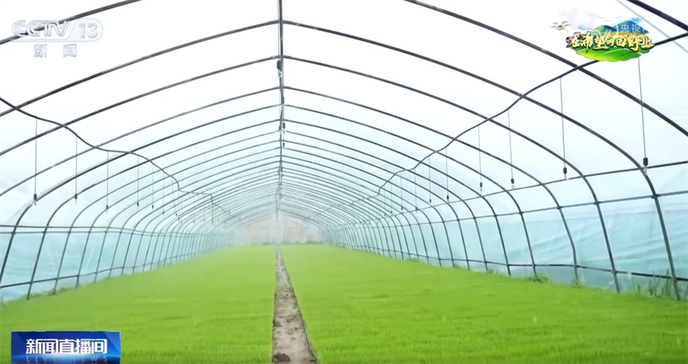 良种良机良法助力春耕跑出“加速度” 丰收愿景在“智慧”耕耘中逐步变为现实