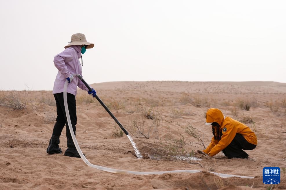 跨越山海种树护绿
